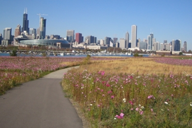 Paved path winds through a field of wildflowers, Chicago skyline in background.
