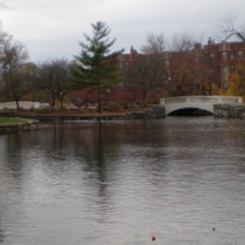 A tranquil park pond with two small bridges and a backdrop of autumn trees and buildings.
