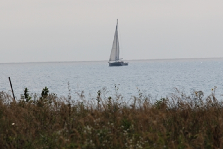 Sailboat on calm water seen from grassy shore.
