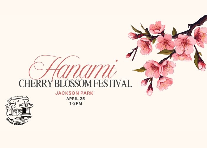 Graphic for Hanami Cherry Blossom Festival on April 25 at Jackson Park with cherry blossom growing on a branch.