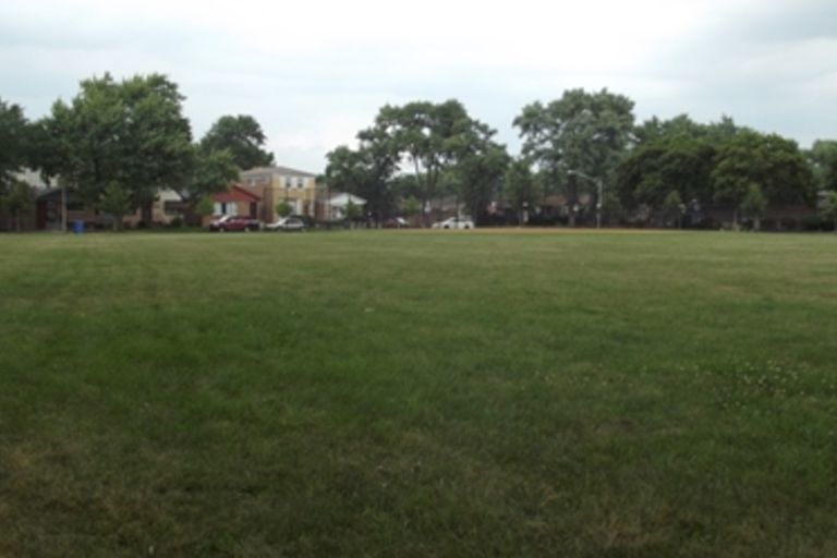 Large grassy field with trees and houses in the background.
