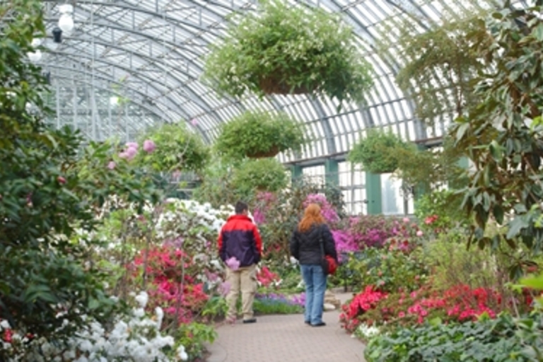 Couple strolls through a vibrant greenhouse filled with colorful flowers.
