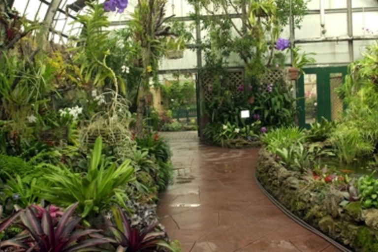 Lush greenery and flowers inside a greenhouse. Paved path winds through the displays.
