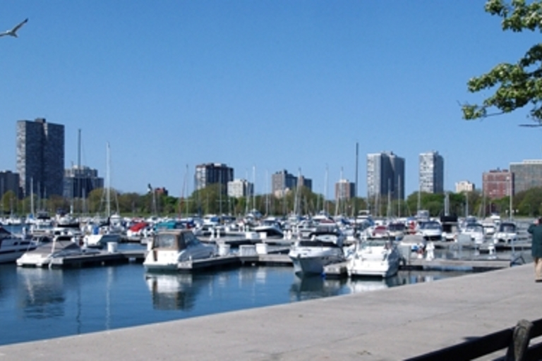Marina full of docked boats with a city skyline in the background.