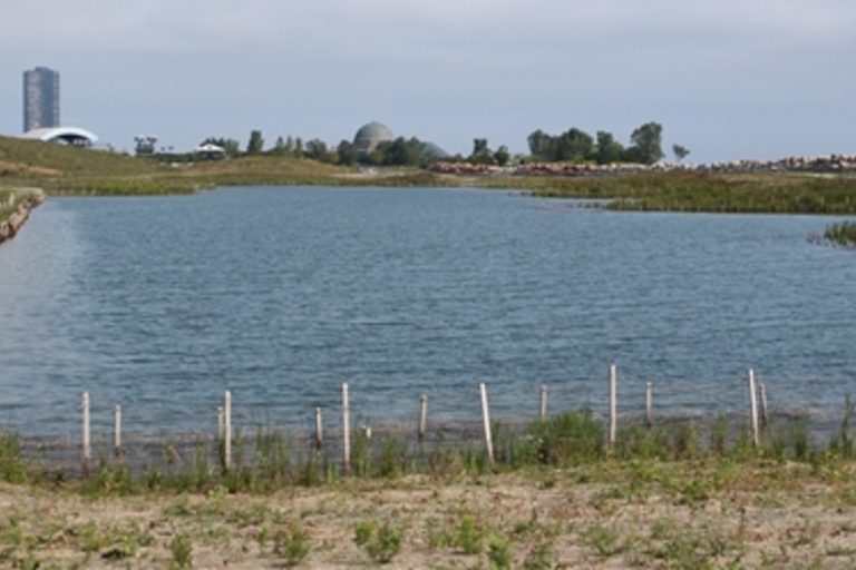 Calm man-made lagoon with city skyline in background.