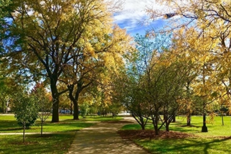 Paved path winds through a park with colorful autumn trees.

