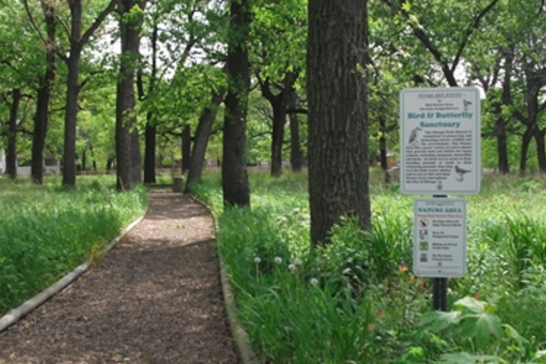 Path through a peaceful Bird & Butterfly Sanctuary.
