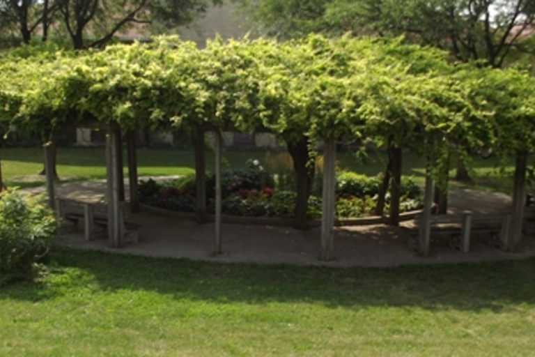 Leafy vine-covered pergola over a circular garden path with benches.
