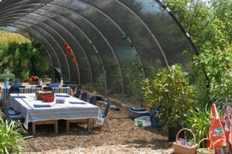 Outdoor classroom with covered picnic table set for a meal.