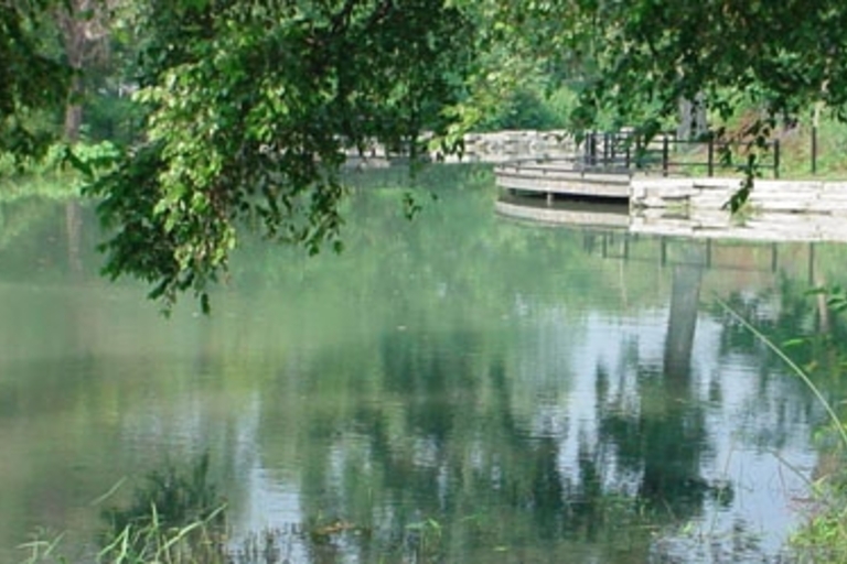 Serene pond with a small viewing platform. Tree branches overhang the water.