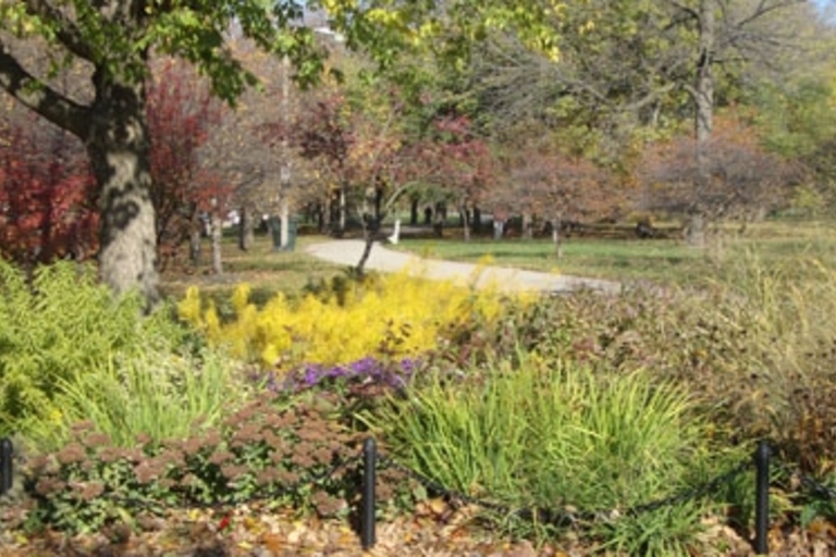 Autumn foliage and plants border a winding path in a park.