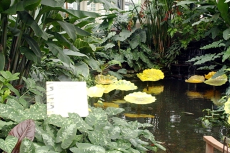 Indoor pond with lily pads surrounded by lush tropical plants.
