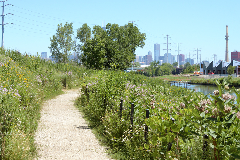 Gravel path through wildflowers, with Chicago skyline in background.