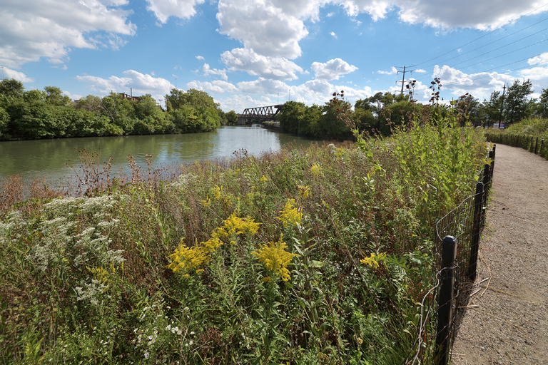 Wildflowers and a gravel path along the Chicago River. A bridge is visible in the background.