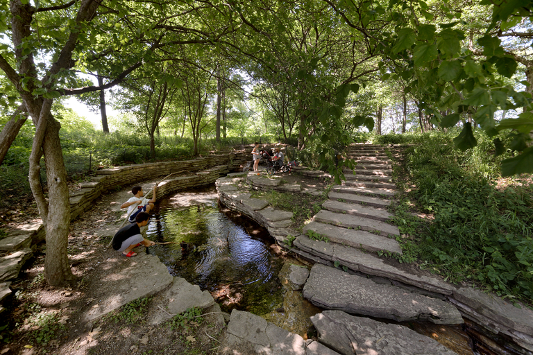 Children play with sticks in a shallow stream within a shady park. Stone steps lead up to a wooded area.