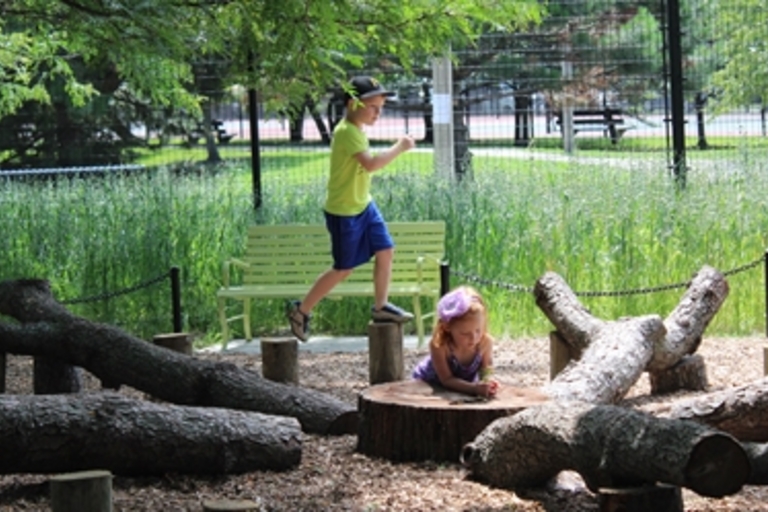 Children play on logs in a nature playground.
