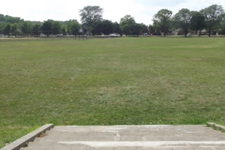 Large grassy field with concrete steps in the foreground.