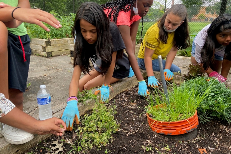 Children wearing gloves tend to plants in a community garden.
