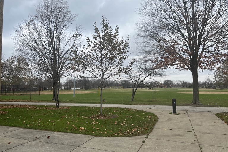 Autumn leaves scattered on a park lawn beside a paved path.