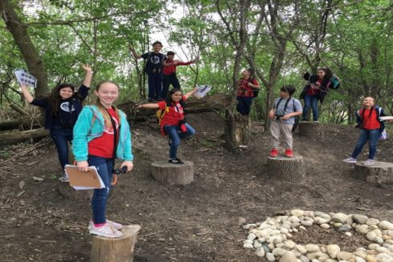 Kids explore a wooded area, standing on tree stumps.