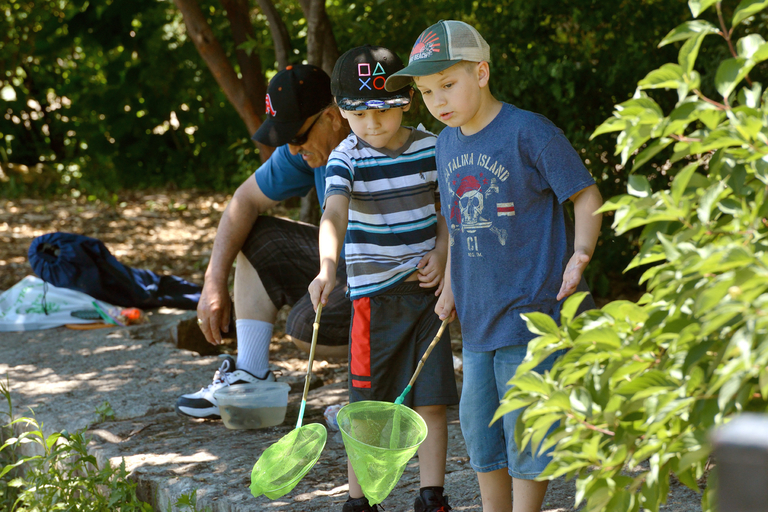 Two children with green nets peer into a clear container while a man watches.