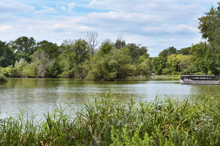 Serene pond with a small pier, surrounded by lush greenery under a partly cloudy sky.
