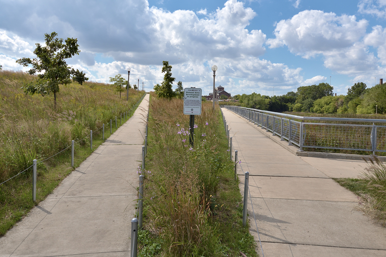 Paved paths through a restored prairie landscape.