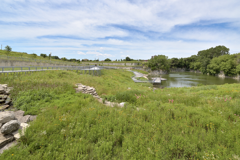 A lush green park with a pond, walkways, and wildflowers.