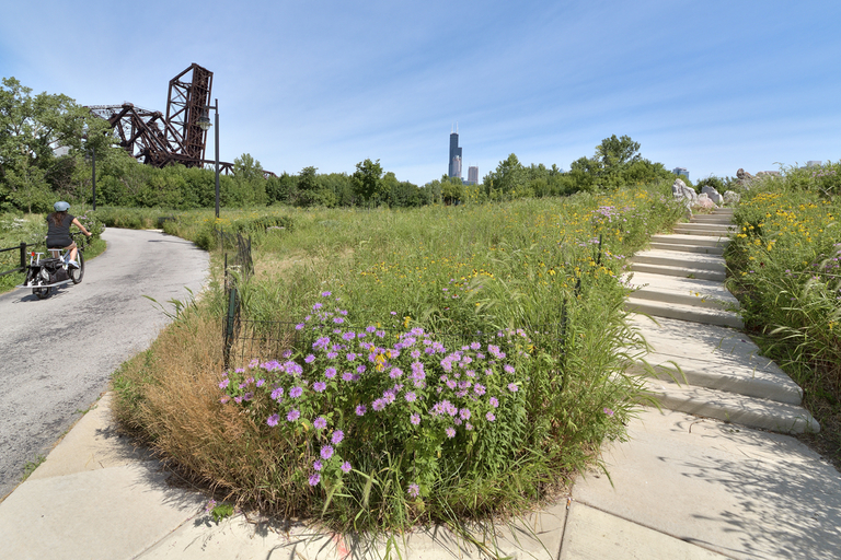 Cyclist on paved trail beside wildflowers, steps, and bridge, city skyline in distance.
