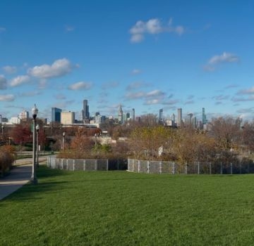 Chicago skyline from a grassy park.