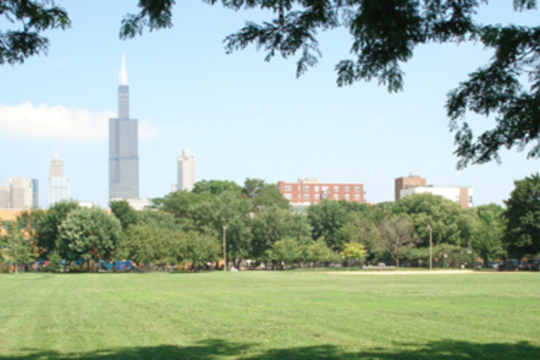 Green park with Chicago skyline in the background.