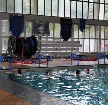 Indoor pool with several swimmers.
