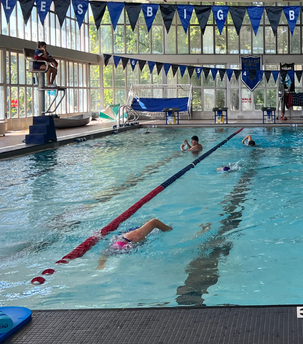 Indoor pool with swimmers doing lap swims while a lifeguard is guarding them.