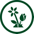 Stylized green icon of a daisy and a tulip.
