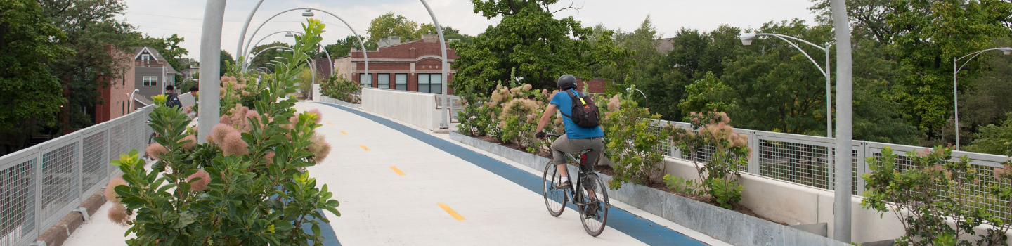 Cyclist on elevated bike path with arched supports and landscaping.