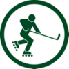 Roller hockey player icon

