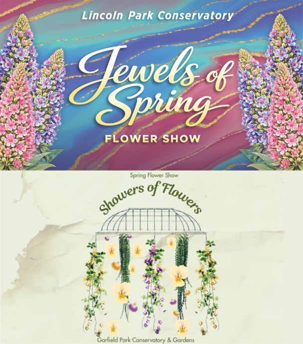 Graphic advertising two flower shows: "Jewels of Spring" at Lincoln Park Conservatory with vibrant flowers, "Showers of Flowers" at Garfield Park Conservatory with cascading blooms.