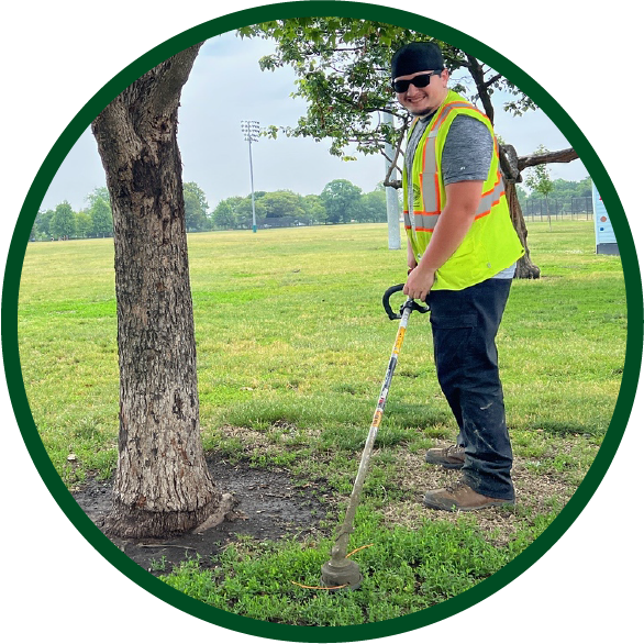 A Junior Laborer is maintaining the landscape near the base of a tree in a park.