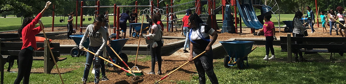 A group of people working in the park